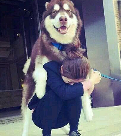 放开她，让我来人物gif搞笑图片