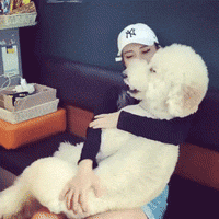 姑娘，是在拍外景吗人物gif搞笑图片