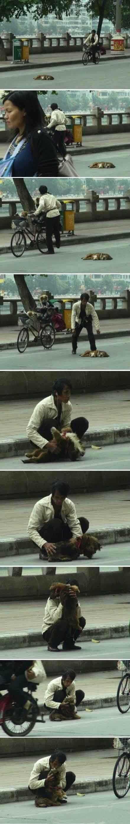 开平狗王人工呼吸车祸中的狗狗人物gif搞笑图片