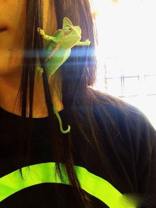 妹纸，这耳环哪里买的啊？人物gif搞笑图片