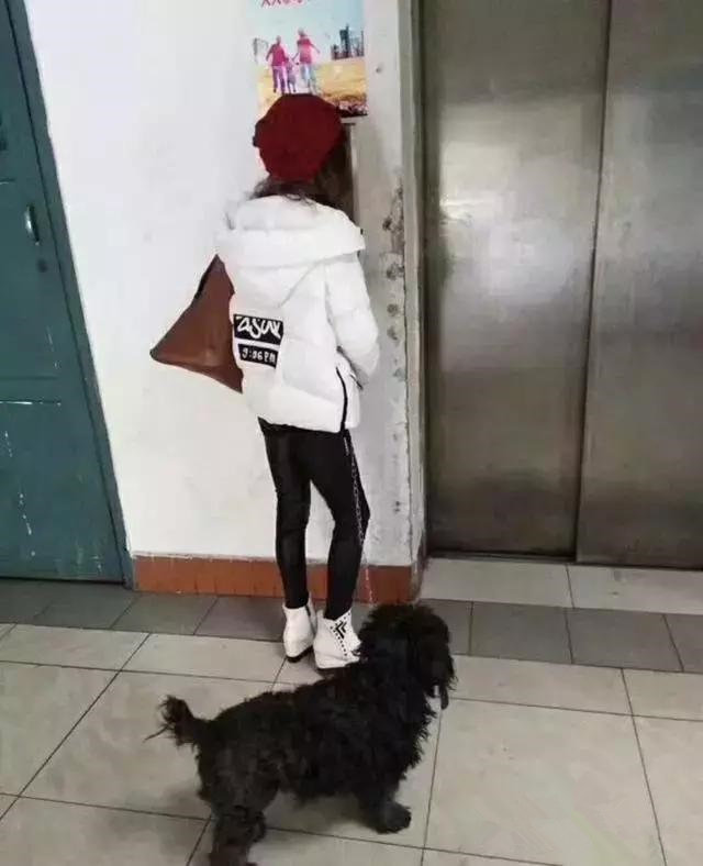 老太太走在时尚的前沿人物gif搞笑图片