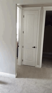 堪称史上最失败的恶搞人物gif搞笑图片