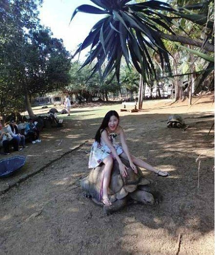 妹子，你的坐骑很给力人物gif搞笑图片