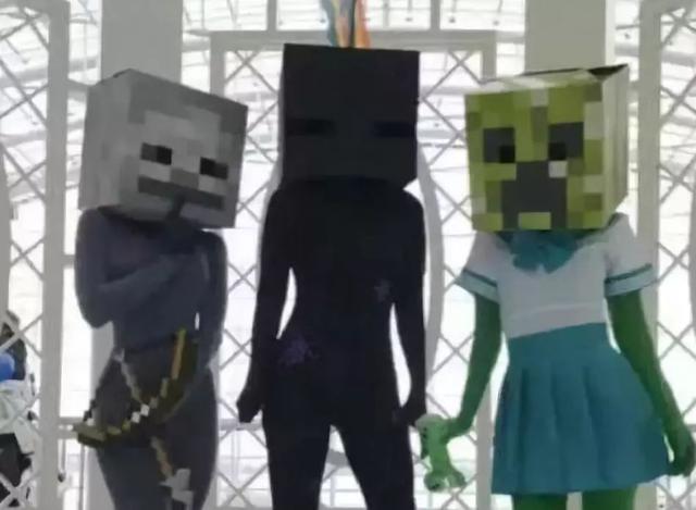 这样的我的世界的cos，我是可以接受的人物gif搞笑图片