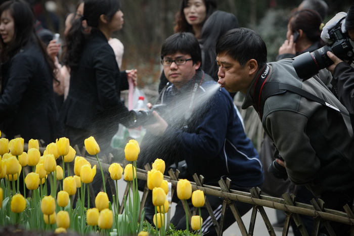 坑爹啊，这拍的哪里是露水啊，分明是口水人物gif搞笑图片
