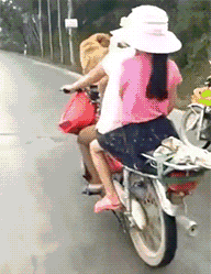 姑娘真是老司机，用条狗当导航厉害人物gif搞笑图片