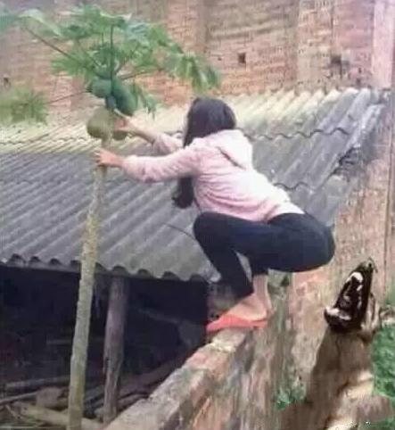 这就厉害了人物gif搞笑图片