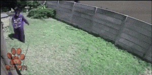 好可怕，幸好跑得快人物gif搞笑图片