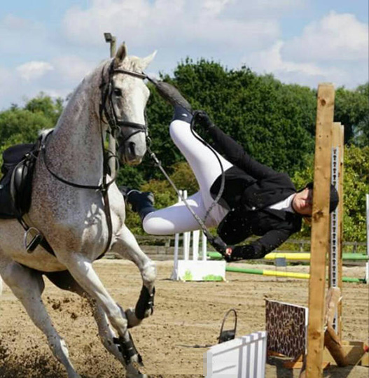 马术师难以言喻的伤人物gif搞笑图片