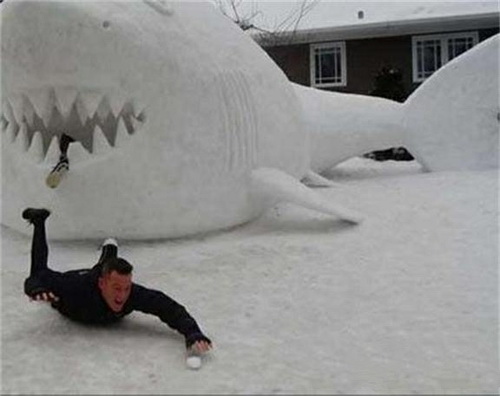 快游啊，鲨鱼来了！人物gif搞笑图片