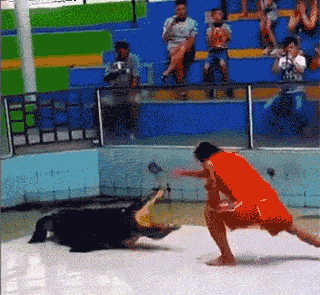 这泰国的表演不是一般的危险，我想问一句买了保险吗？人物gif搞笑图片