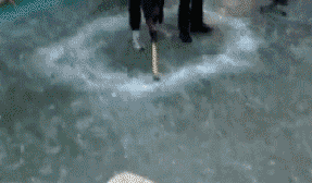 还好跑得及时，不然掉进去直接捞鱼人物gif搞笑图片