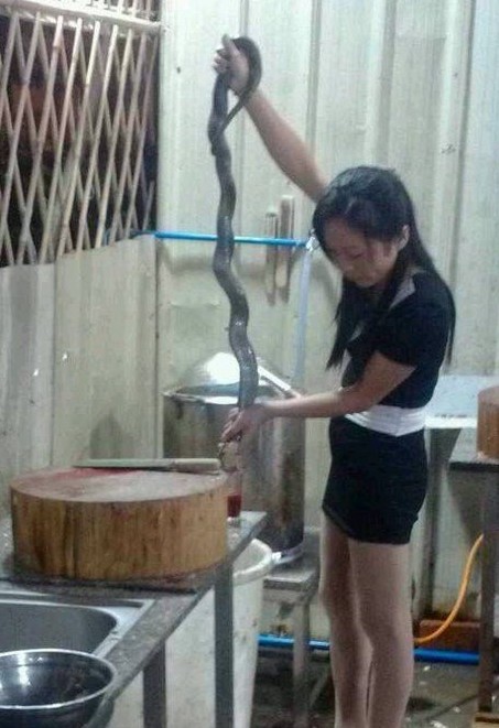 不是女汉子干不了这行呀人物gif搞笑图片