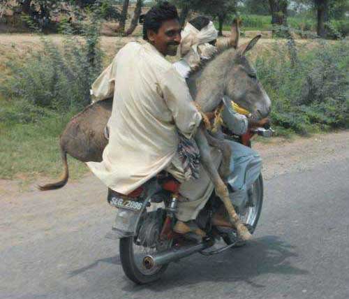 阿三肯定又开挂了人物gif搞笑图片