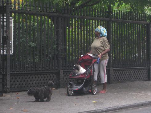 爱狗如子人物gif搞笑图片