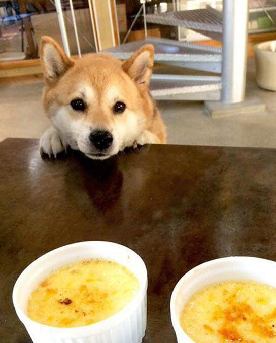 真挚的眼神人物gif搞笑图片