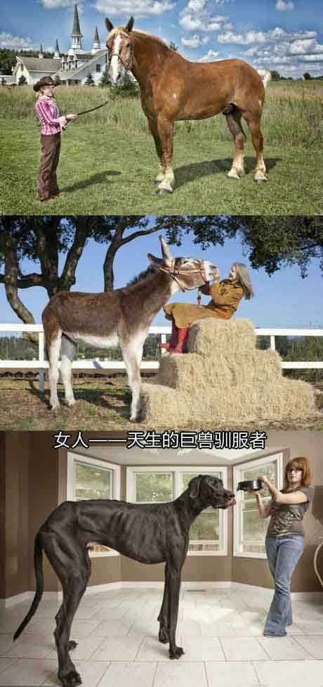 女人。。。天生的巨兽驯服者人物gif搞笑图片