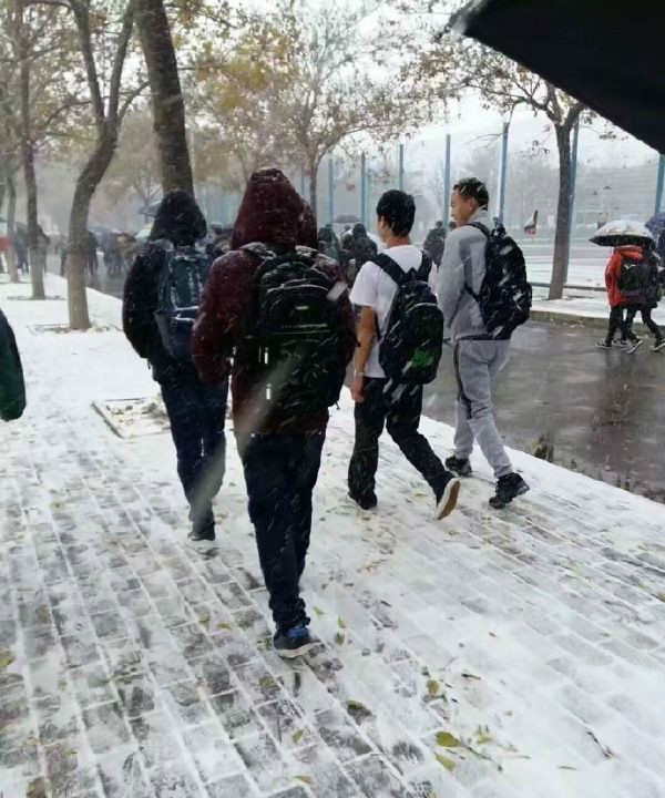 真正的男子汉是不畏寒冷的人物gif搞笑图片