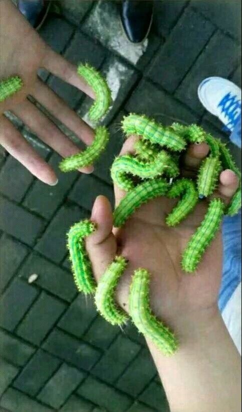 刚才还说谁都不服，现在我只服你们人物gif搞笑图片