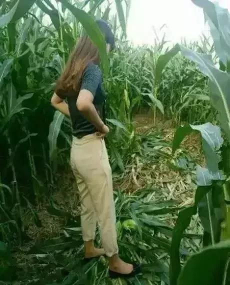 让我去帮她摘玉米，真的不太愿意去人物gif搞笑图片