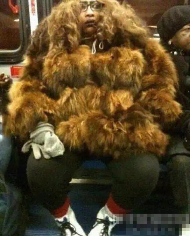 谁家藏獒没关好放出来了人物gif搞笑图片