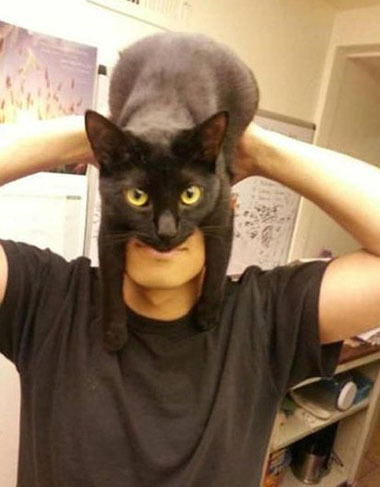 如何令自己看起来像蝙蝠侠人物gif搞笑图片