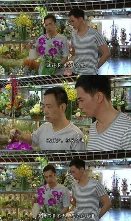 专家的传说人物gif搞笑图片