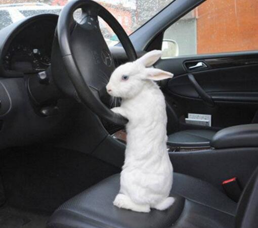 今天我来开车人物gif搞笑图片