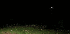 请问，谁更疼人物gif搞笑图片