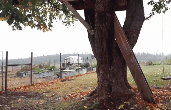 不是每个人都可以学小李飞刀的人物gif搞笑图片