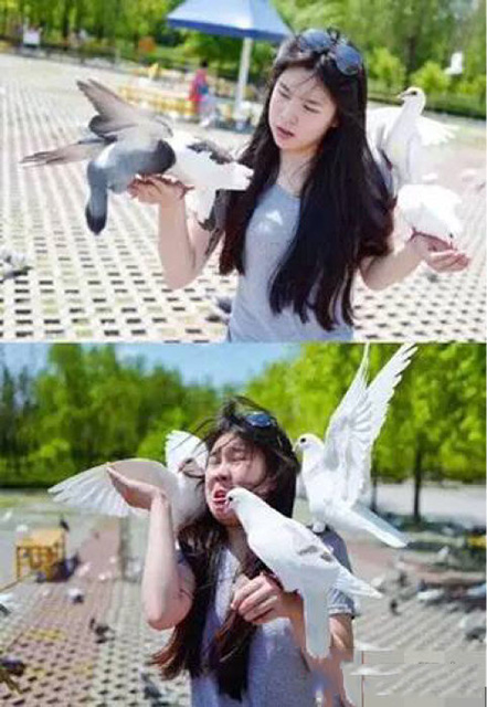 好看的照片并不是说拍就拍的人物gif搞笑图片