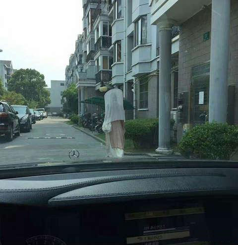 女侠这是要去往何方人物gif搞笑图片