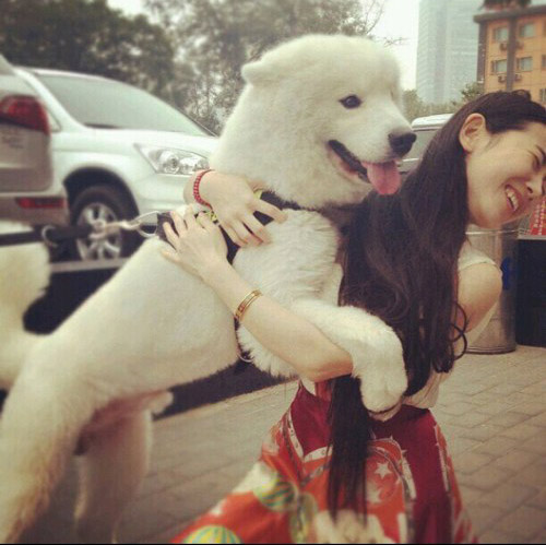 妹纸那个羞涩啊！人物gif搞笑图片