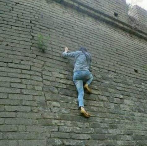 真正的翻墙要技术人物gif搞笑图片