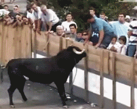 自找的人物gif搞笑图片