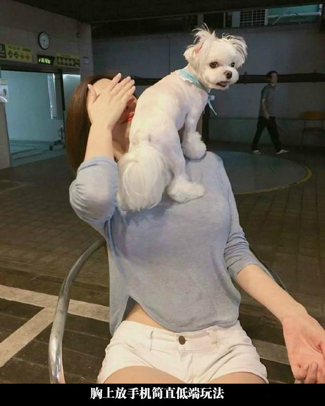 实在想不到馒头上放手机这么快就被超越人物gif搞笑图片