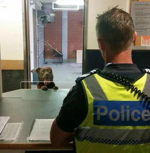 妖妖灵吗，我要报警人物gif搞笑图片