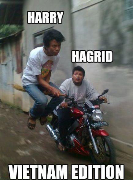 越南版的哈里波特人物gif搞笑图片