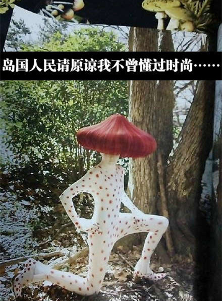 才发现自己好土，毫无艺术气息人物gif搞笑图片