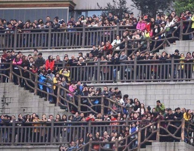 过年没发红包的群主正在被批斗，群友们纷纷围观人物gif搞笑图片