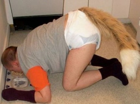 我其实也是汪星人人物gif搞笑图片