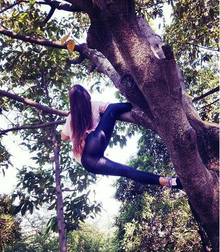 爬个树用的着这么销魂么人物gif搞笑图片