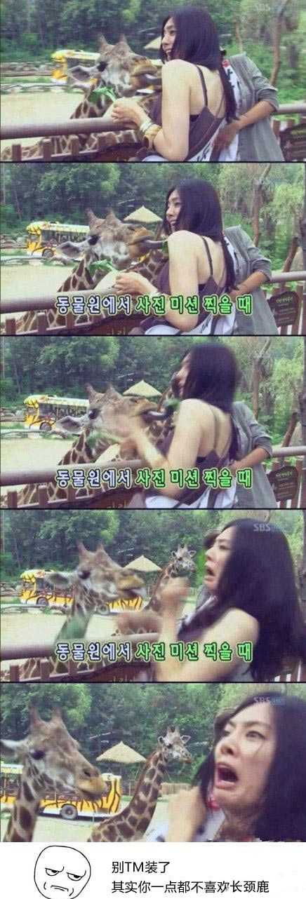 你真的喜欢长颈鹿吗？人物gif搞笑图片