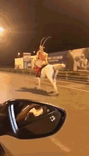 赶着去取经吗？人物gif搞笑图片