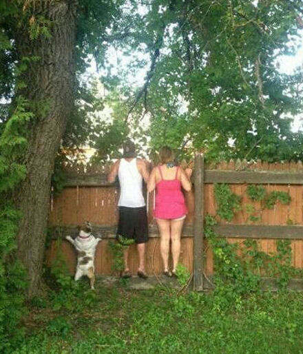 喜欢偷窥的一家三口人物gif搞笑图片