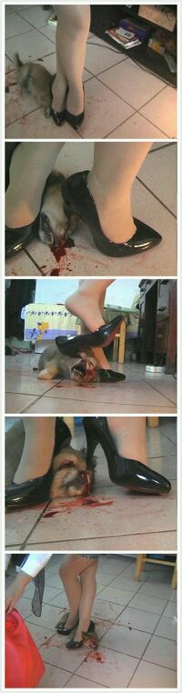 对于这个女的你们想说点什么？人物gif搞笑图片