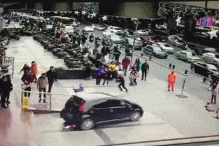 在哪个驾校学的车？还自带杀的执照的啊人物gif搞笑图片