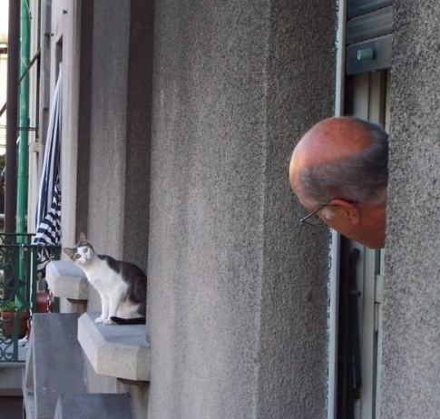 嗨，猫咪！嗨，老头？人物gif搞笑图片