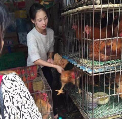 卖鸡生意很好人物gif搞笑图片