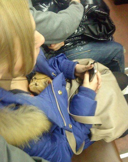 这就是曾经热门一时的躲猫猫吧人物gif搞笑图片